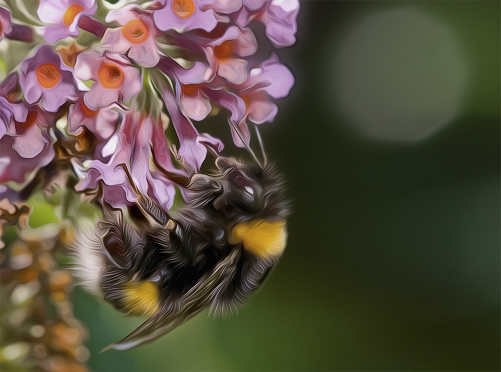 001 Tiere-Schmetterling-Biene-D35_4969-als-Smart-Objekt-1 als Smartobjekt-1 kopieren.jpg